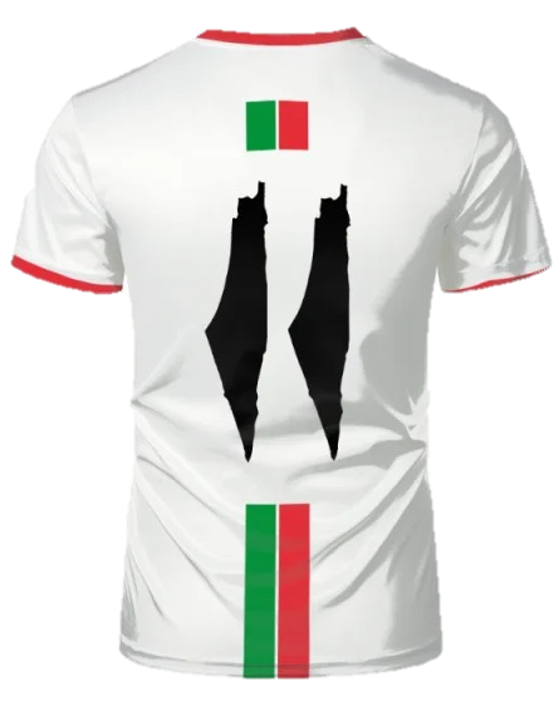 Palestine Flag Map Athletic Jersey T Shirt For Men